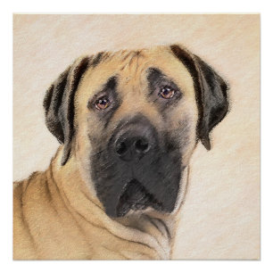 Boerboel-Malerei - Niedliche Original Hunde-Kunst Poster