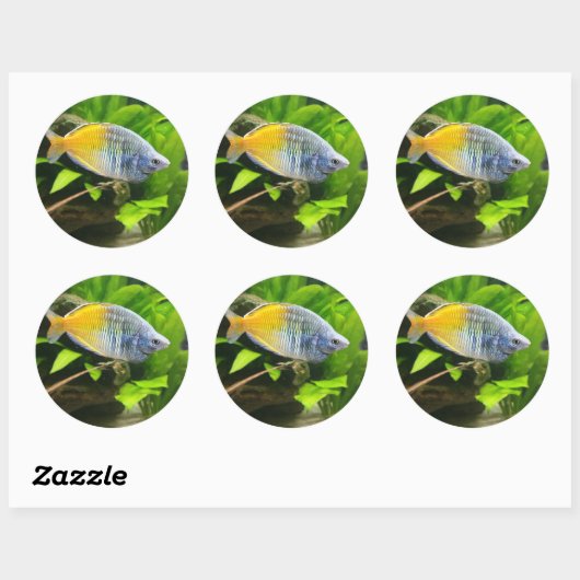 Boesemani Rainbow Runder Aufkleber (Blatt)