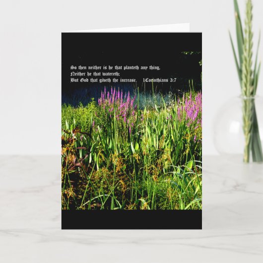 Bog Garden mit 1 Korinthen 3:7 Dankeskarte (Vorderseite)
