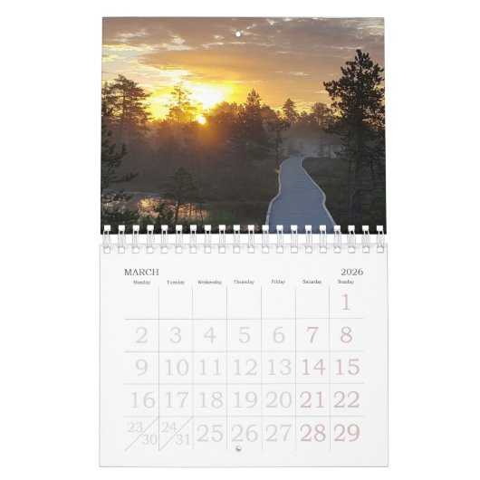 Bog Light Estonian Bogs 2025 Kalender (Mär 2026)