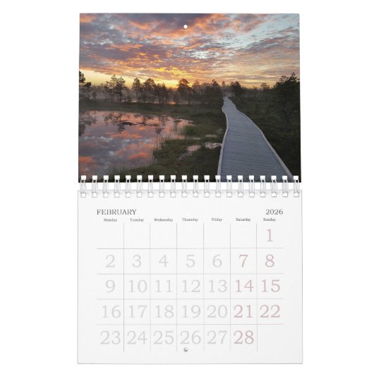 Bog Light Estonian Bogs Kalender (Feb 2026)