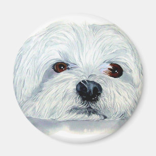 Bogart der maltesische Magnet