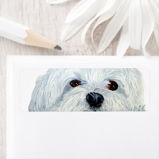 Bogart the Maltese (Insitu)