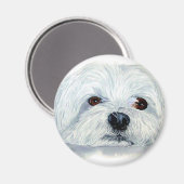 Bogart the Maltese Magnet (Vorderseite/Rückseite)