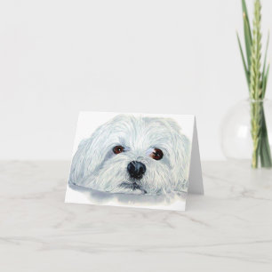 Bogart the Maltese Notecard Karte