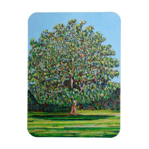 Bogen-Baum-Sommer Magnet