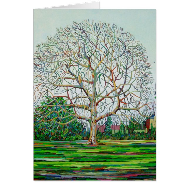 Bogen-Baum-Winter (Vorne)