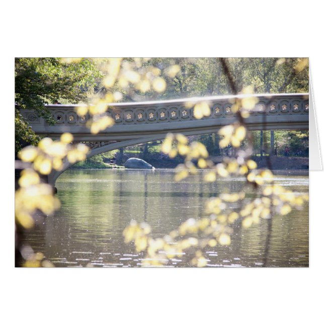 Bogen-Brücke im Sommer (Vorderseite (Horizontal))