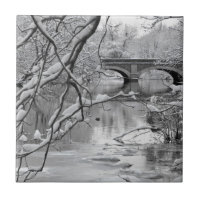 Bogen-Brücke über gefrorenem Fluss im Winter