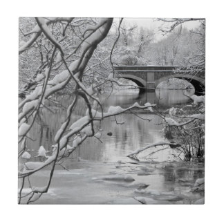 Bogen-Brücke über gefrorenem Fluss im Winter Fliese