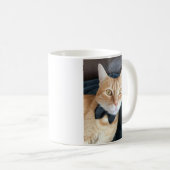Bogen-Krawattenkatze Kaffeetasse (VorderseiteRechts)