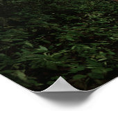 Bogenschießen in der Forest Fantasy Art Print Poster (Ecke)