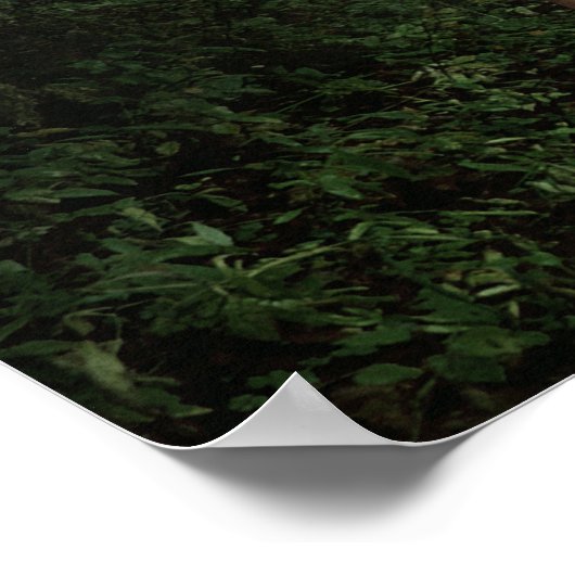 Bogenschießen in der Forest Fantasy Art Print Poster (Ecke)