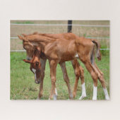 BOGO Baby-Puzzlespiel 1 Puzzle (Horizontal)