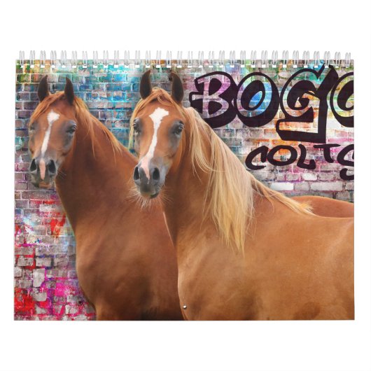 BOGO Colts 2-Jährige Fotos Kalender (Titelbild)
