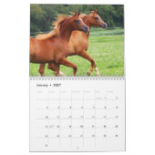 BOGO Colts 2-Jährige Fotos Kalender (Jan 2027)