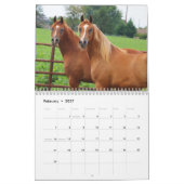 BOGO Colts 2-Jährige Fotos Kalender (Feb 2027)
