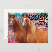 BOGO Colts - Graffiti Post Card - Arabische Pferde Postkarte (Vorne/Hinten)