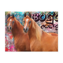 BOGO Colts - Graffiti Post Card - Arabische Pferde