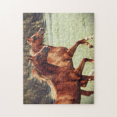 BOGO Colts künstlerisches Puzzlespiel Puzzle (Vertikal)