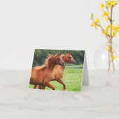 BOGO Colts leere Notizkarte Karte (Gelbe Blume)