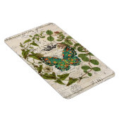 Bohemian-Skripte, französischer Botanischer Schmet Magnet (Rechte Seite)