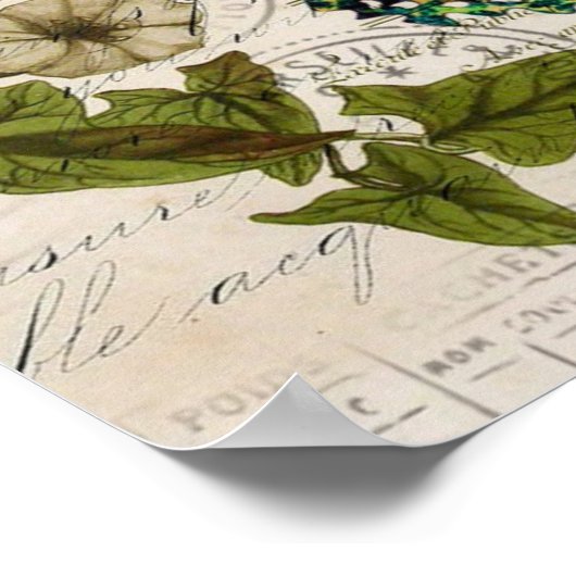 Bohemian-Skripte, französischer Botanischer Schmet Poster (Ecke)