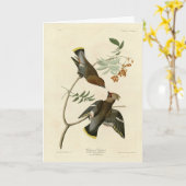 Bohemisch Chatterer (Waxwing) Audubon Birds Americ Karte (Gelbe Blume)