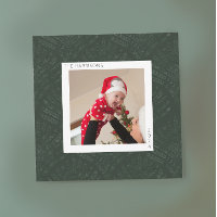 Bohemisch Evergreen Fern Modernes Minimalistisch