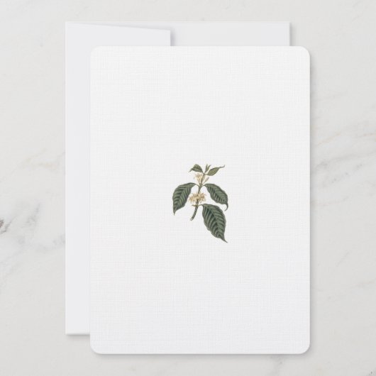 Bohemische Elegance Einfache Kaffeeliebhaber Hochz Einladung (Rückseite)