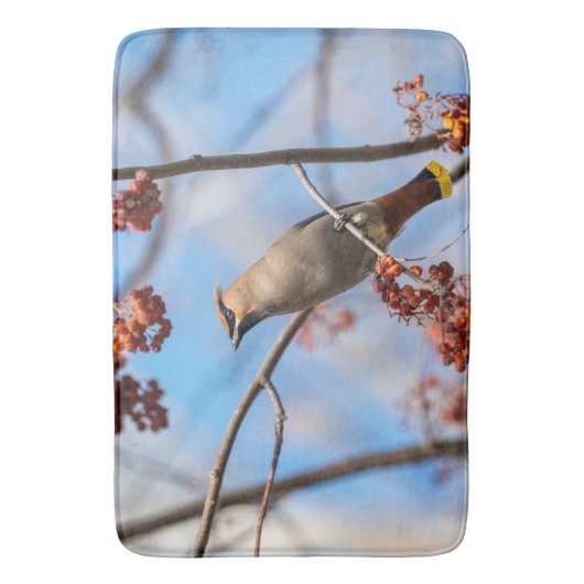 Bohemische Flügel, Vogel mit blauem Hintergrund Badematte (Vorderseite Vertikal)