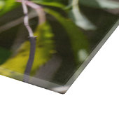 Bohemische Waxwing, kanadische Vogelfotografie Schneidebrett (Ecke)