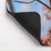 Bohemische Waxwing, Vogelfotografie Mousepad (Ecke)