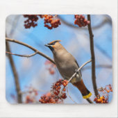 Bohemische Waxwing, Vogelfotografie Mousepad (Vorne)