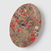 Bohemische Waxwings Fütternd auf der Bergash Große Wanduhr (Winkel)
