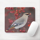 Bohemischer Waxwing Mousepad (Mit Mouse)