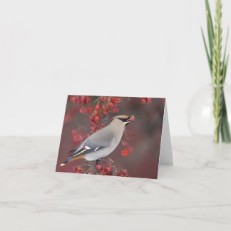 Bohemischer Waxwing Notecards Karte