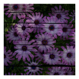 Bohemischer Western Land Barn Board lila Tageszeit Poster