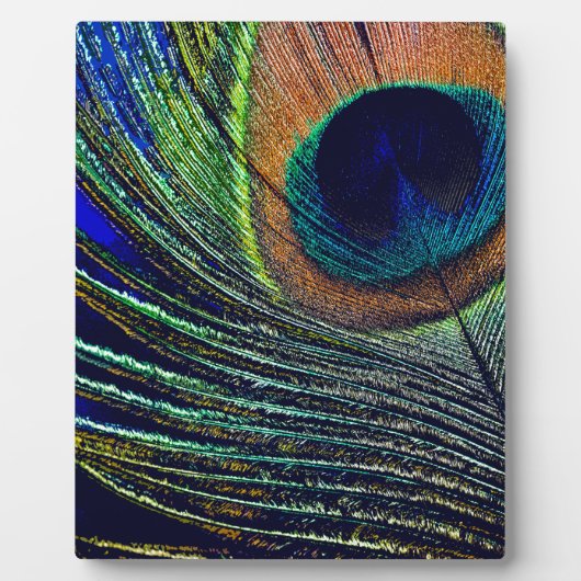 Bohemisches Friedensgefühl Fotoplatte (Vorderseite)