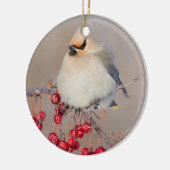 Bohemisches Wachsen im Winter, Kanada Keramikornament (Links)