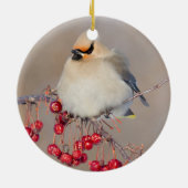 Bohemisches Wachsen im Winter, Kanada Keramikornament (Hinten)