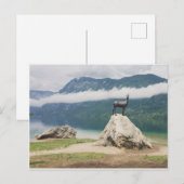 Bohinj-See, Slowenisches Zlatorog-Foto Postkarte (Vorne/Hinten)