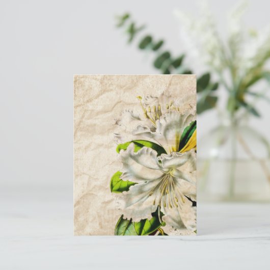 Bohmeian-französischer Botanischer Kunstschmetterl Postkarte (Stehend Vorderseite)