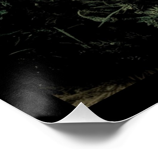 Böhmisch-Schwarze Wildblume Poster (Ecke)