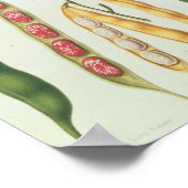 Bohnen Poster (Ecke)