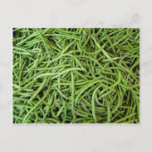 Bohnen Postkarte (Vorderseite)