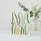 Bohnen Postkarte (Stehend Vorderseite)