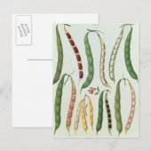 Bohnen Postkarte (Vorne/Hinten)
