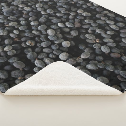 Bohnen Sherpadecke (3/4)