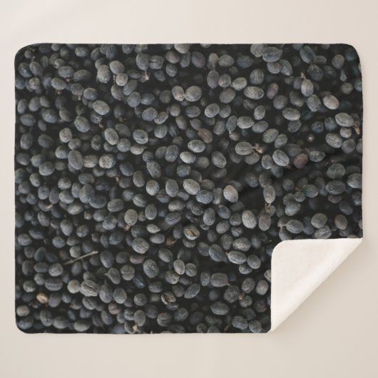 Bohnen Sherpadecke (Vorderseite (Horizontal))